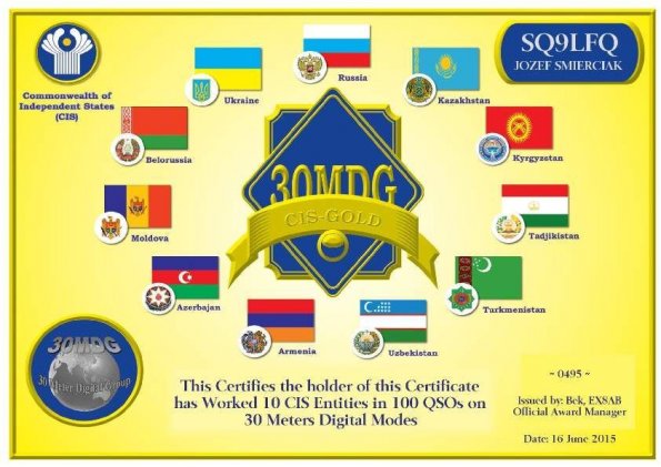 SQ9LFQ-30MDG-CIS-Gold-Certificate-p1